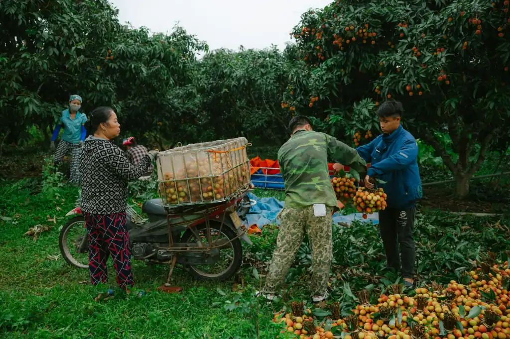 海南政企网络升级中光纤收发器与协议转换器的选型要点