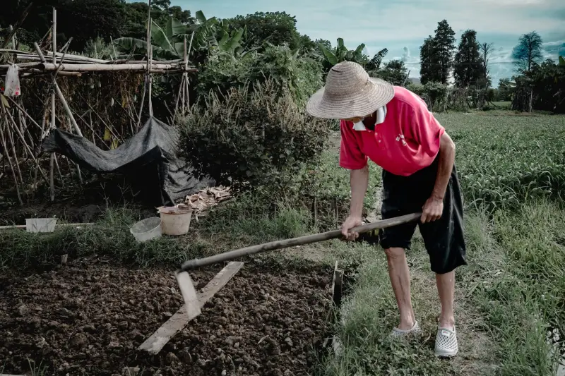 网络交换机与网桥选型对比：企业局域网建设中的关键考量因素