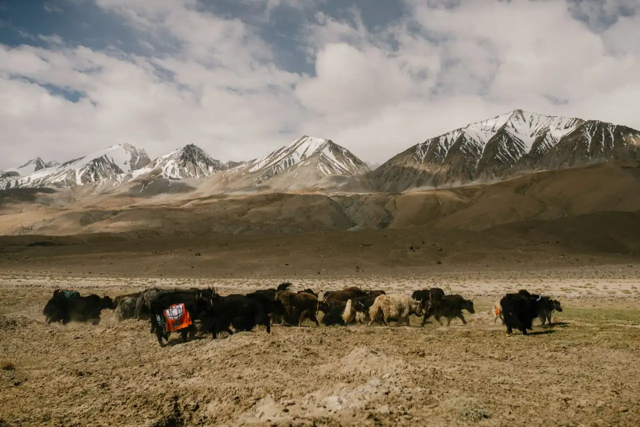 海南政企网络升级：光纤收发器与协议转换器选型搭配要点