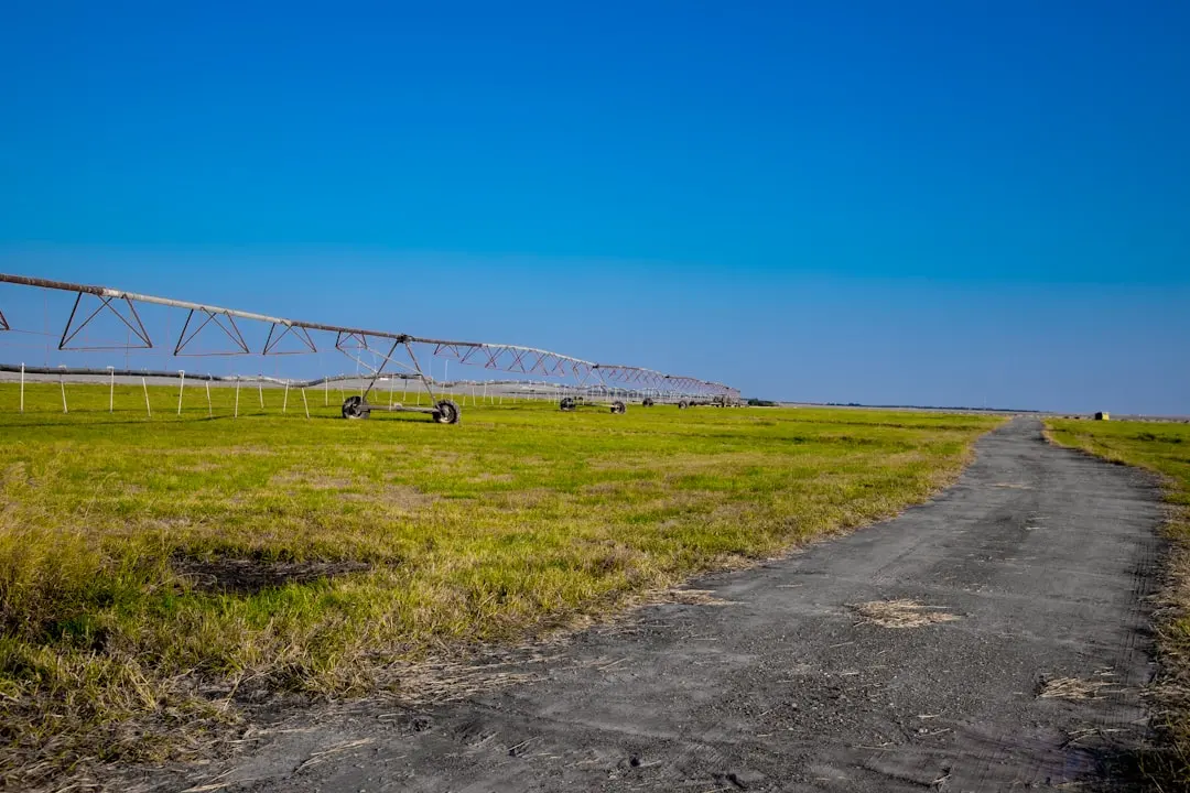 网络交换机与光纤收发器选型指南：海南政企网络基础设施建设要点解析