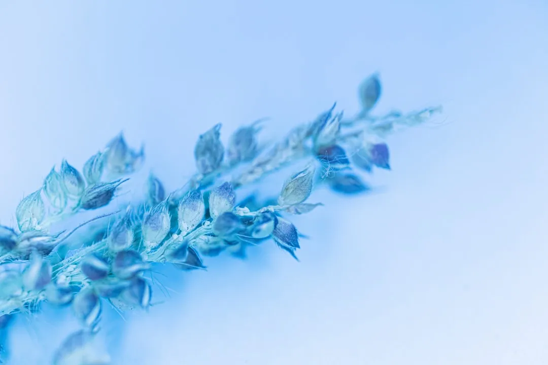 海南政企网络升级方案：光纤收发器与协议转换器协同配置指南