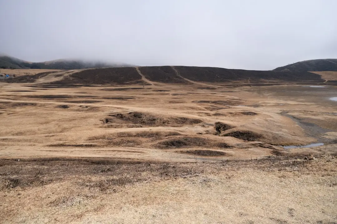 企业级网络交换机选型指南：对比网桥与集线器的适用场景