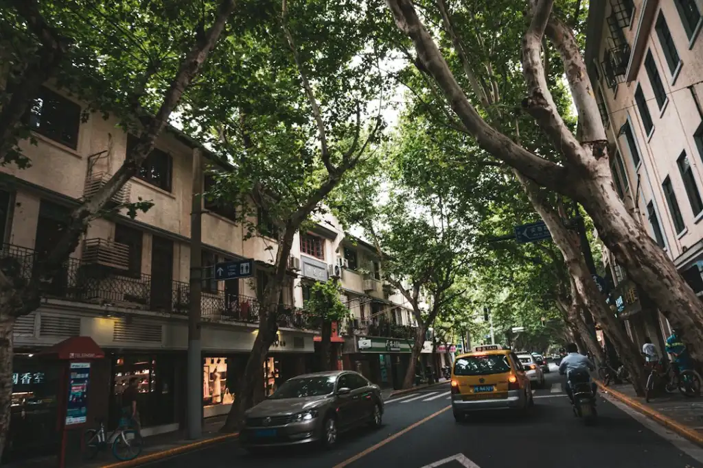 海南政企网络升级方案：光纤收发器与协议转换器的协同部署要点